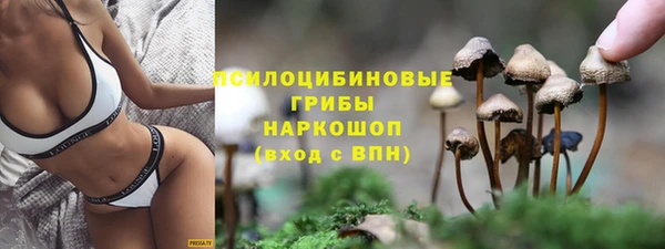 спиды Гусев