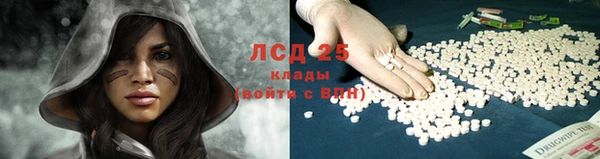 спиды Гусев