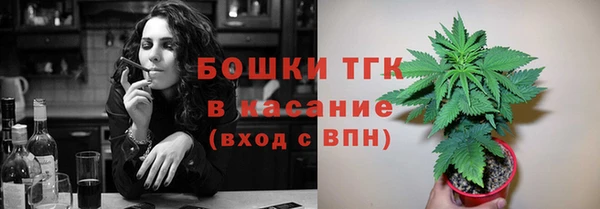 тгк Гусиноозёрск