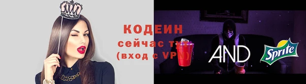 спиды Гусев