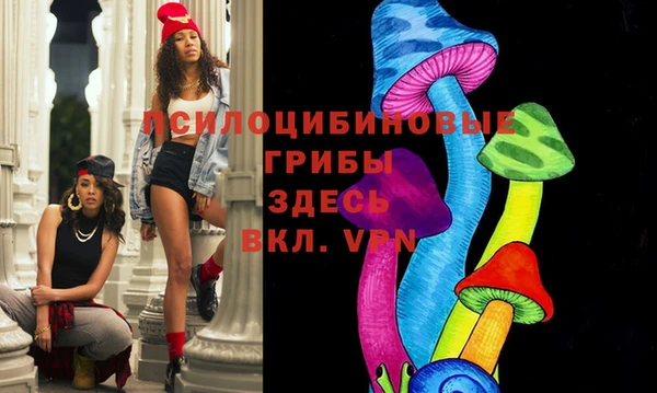 тгк Гусиноозёрск