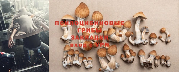 наркотики Гусь-Хрустальный