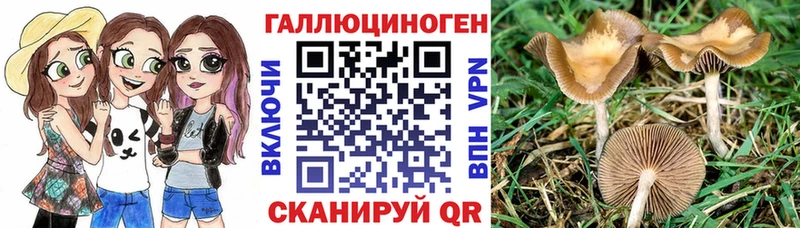 Купить  Мантурово  Псилоцибиновые грибы мицелий 